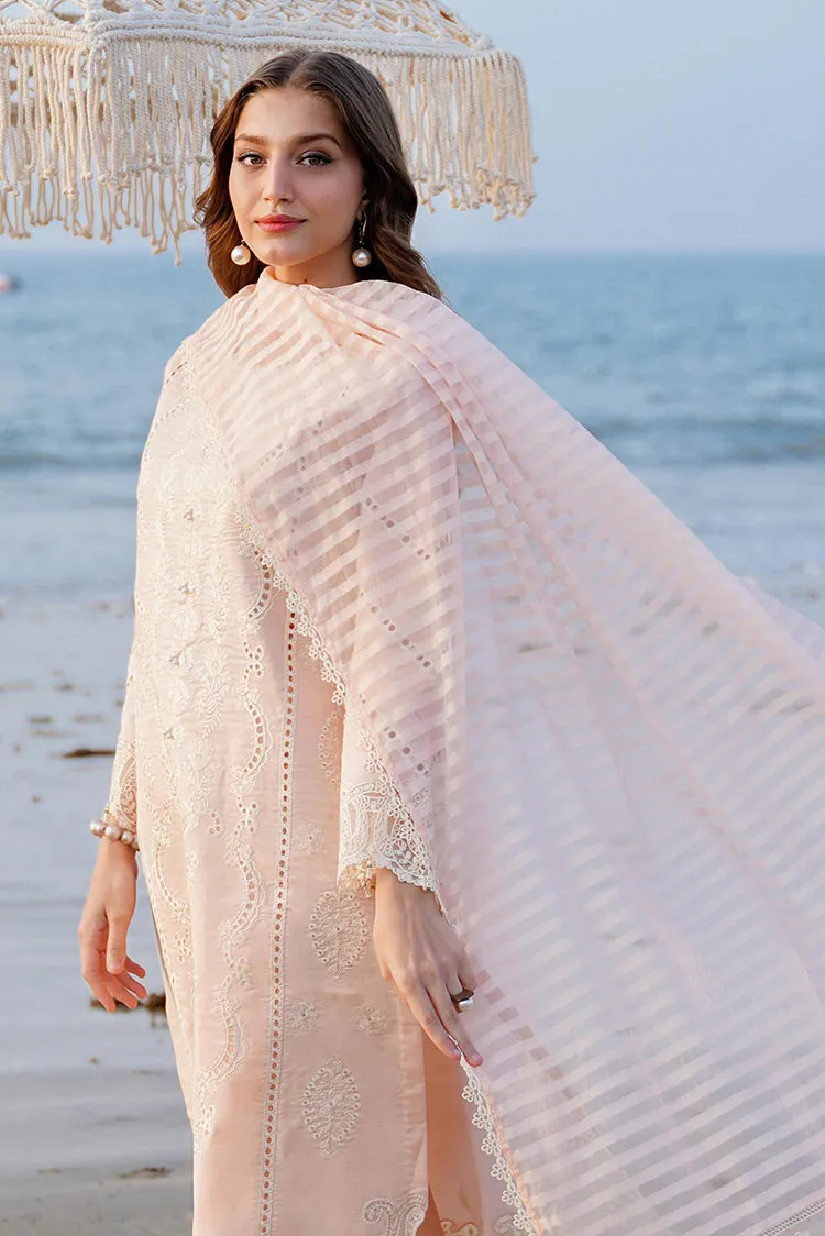 Aabyaan - AF 07 ASRA Saagar Luxury Festive Collection